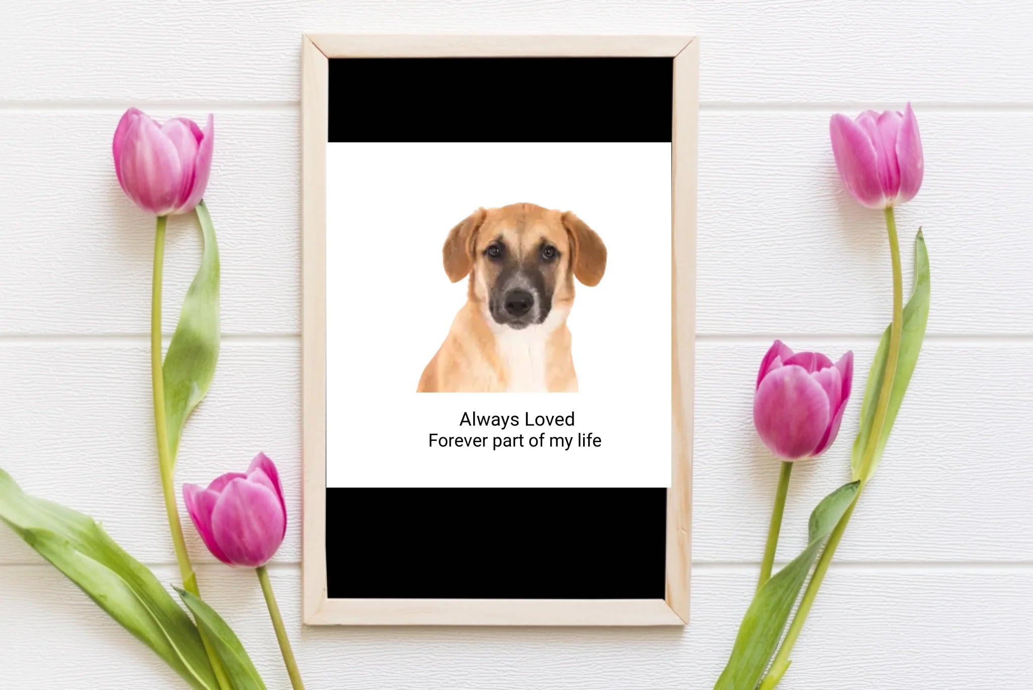 decorative-flowers-with-blackboard