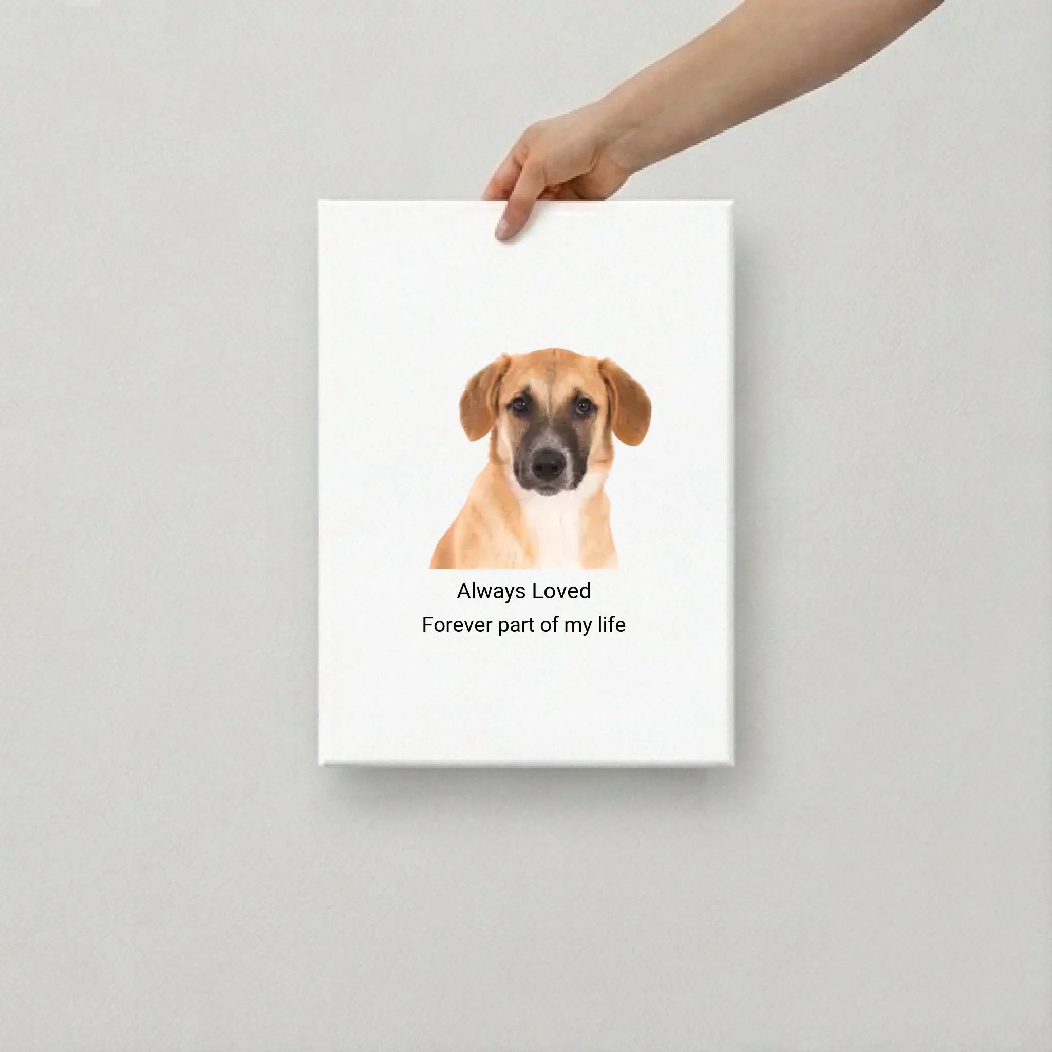 Custom Pet Canvas