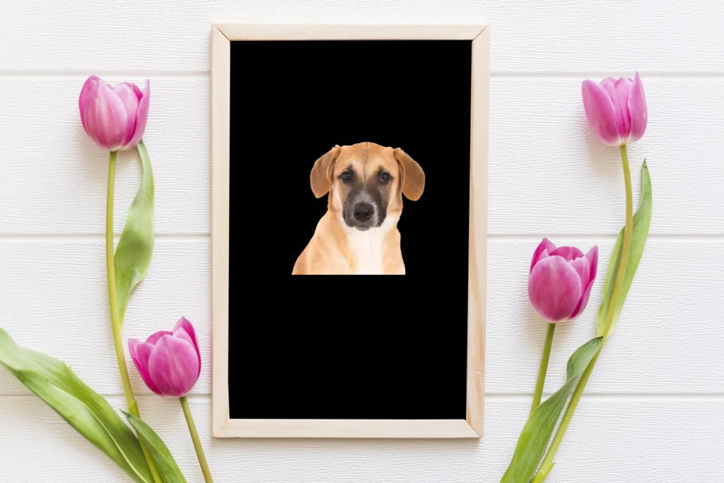 decorative-flowers-with-blackboard