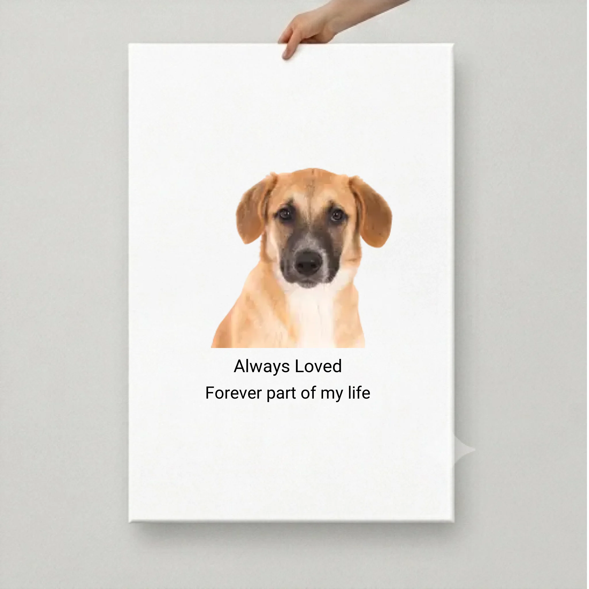 Custom Pet Canvas
