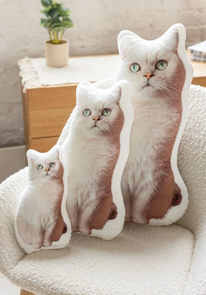Custom Shaped Pillow