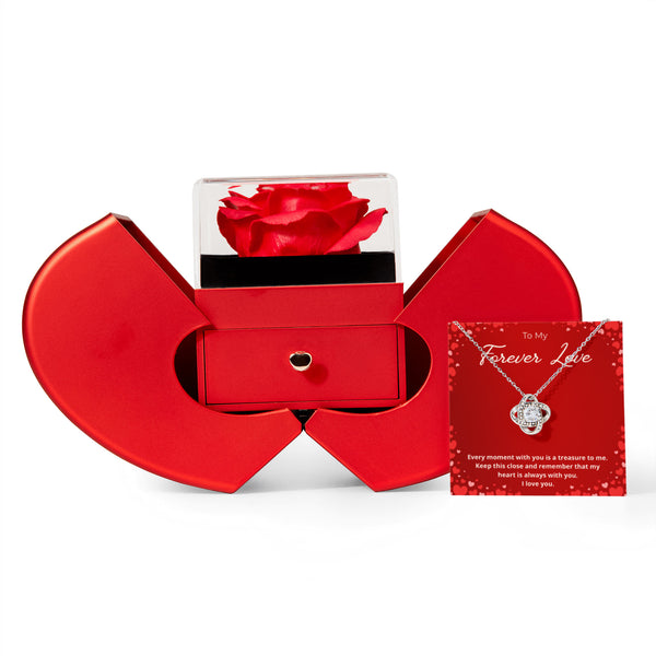Forever Love Necklace Gift Set